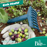 Zeytin Tırmığı 1 Adet - Bsr Garden