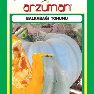 Bal Kabağı Tohumu ( Arzuman ) 10 GR