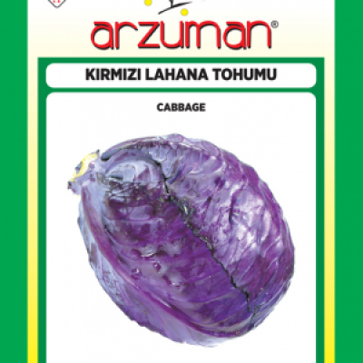Kırmızı / Mor Lahana Tohumu ( Arzuman ) 10 GR