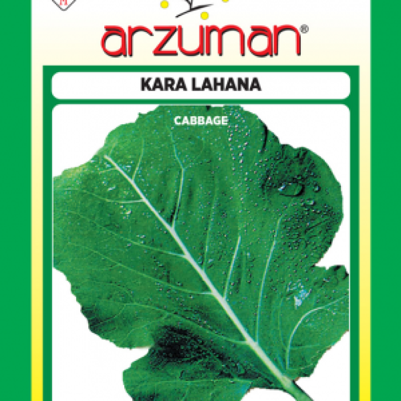 Yaprak / Kara Lahana Tohumu ( Arzuman ) 10 GR