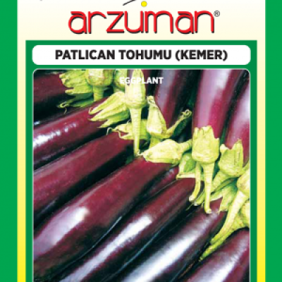 Kemer Patlıcan Tohumu ( Arzuman )
