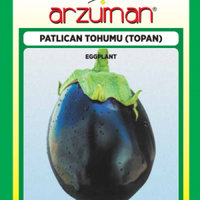 Topan Patlıcan Tohumu ( Arzuman )