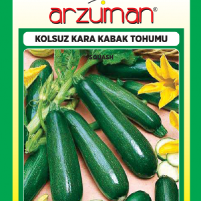 Kolsuz Kara Kabak Tohumu Arzuman ) 10 GR