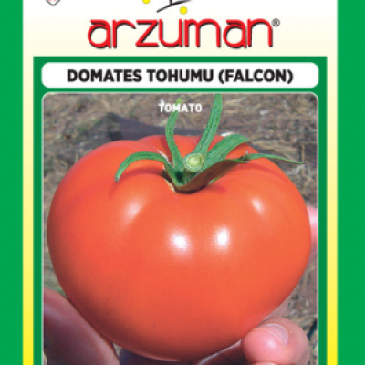 Falcon Domates Tohumu ( Arzuman )