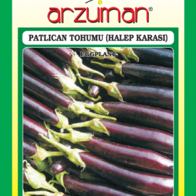 Halep Patlıcan Tohumu ( Arzuman )