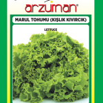 Kışlık Kıvırcık Marul Tohumu ( Arzuman ) - 10 GR