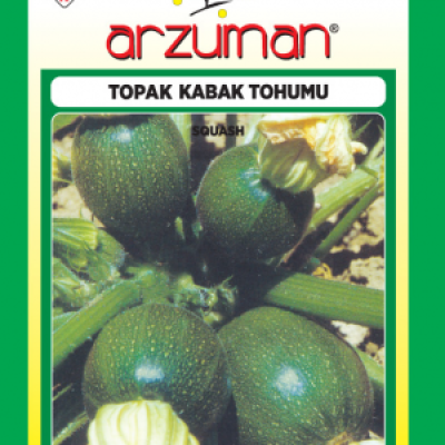 Topak Kabak Tohumu ( Arzuman ) 10 GR