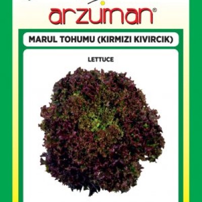 Kırmızı Kıvırcık Marul Tohumu ( Arzuman ) - 100 Adet
