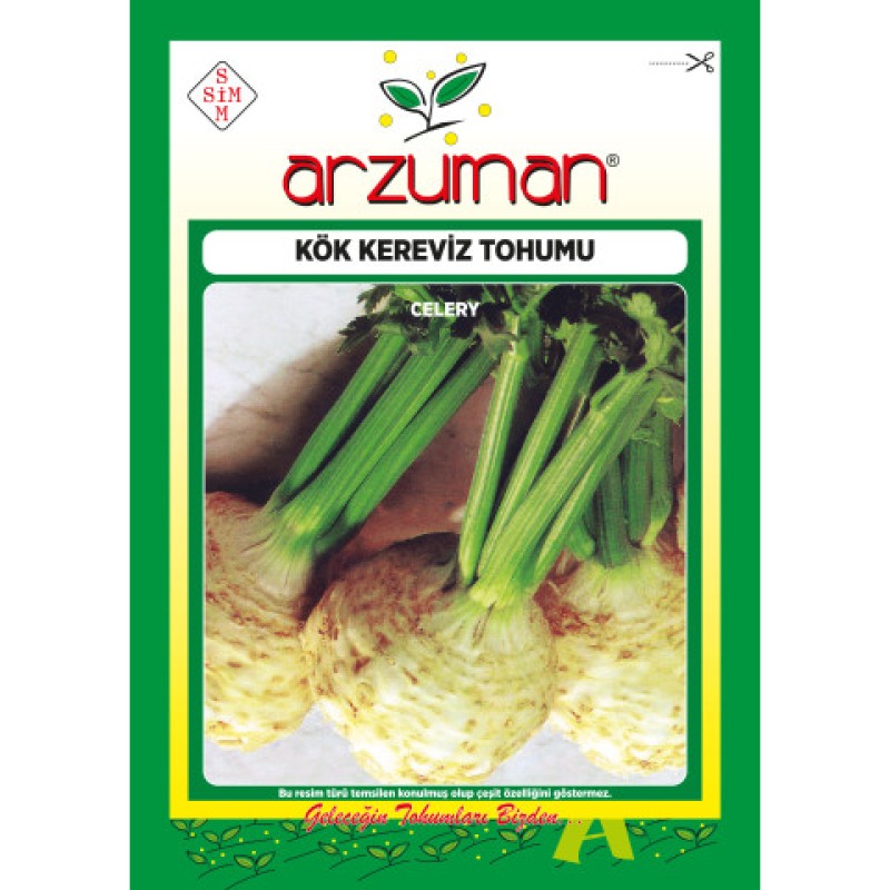 Kök Kereviz Tohumu ( Arzuman ) 5 GR