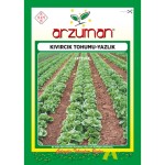 Yazlık Kıvırcık Marul Tohumu ( Arzuman ) - 10 GR