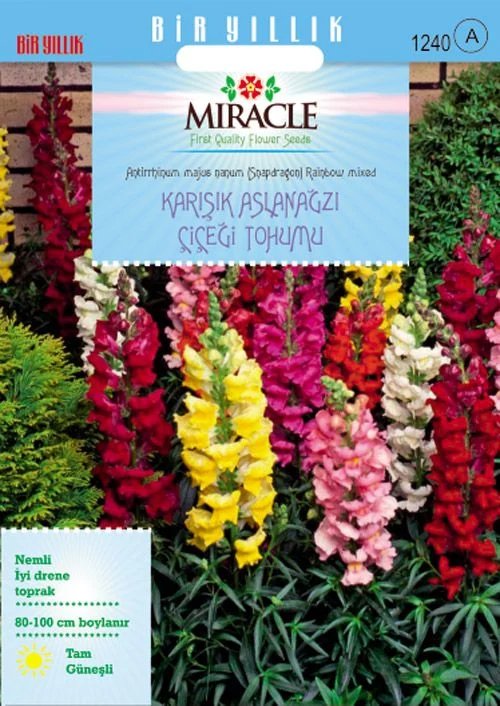 Antirhinum Rainbow Mixed Karışık Aslanağzı Çiçeği Tohumu(200 tohum) Miracle