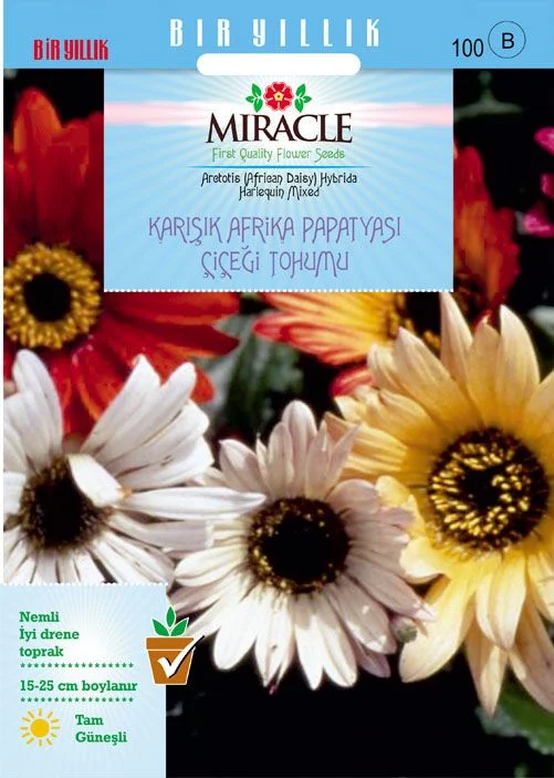 Karışık Renkli Afrika Papatyası Çiçeği Tohumu (30 tohum) Miracle